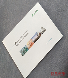 �� �ߙn��(hu��)��(c��)ӡˢ�S��