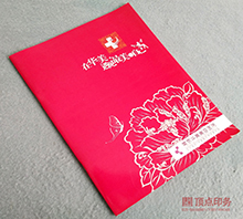 �����t(y��)Ժ ������(hu��)��(c��)ӡˢ