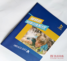 �O(sh��)ʩ��ُ(g��u)ӡˢ